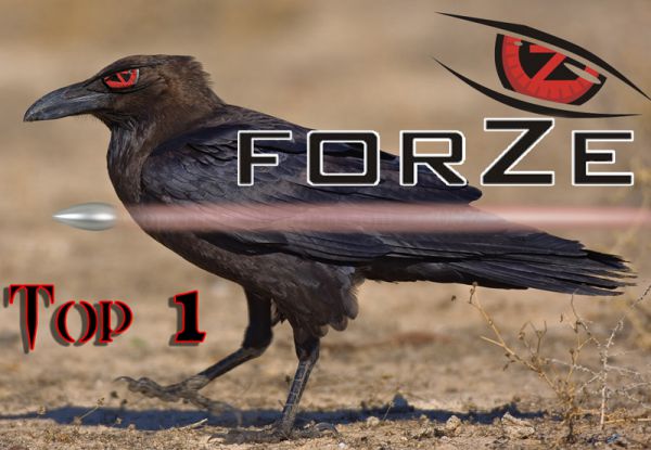 ForZe top1 